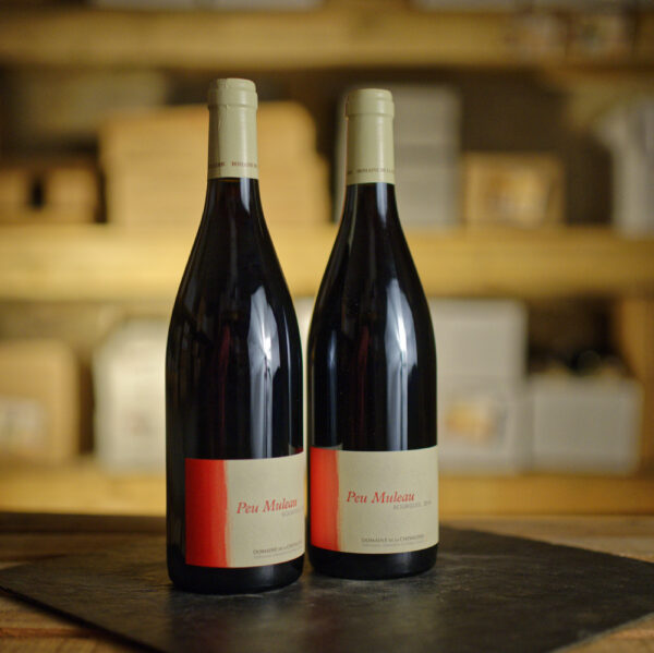 Bourgueil Peu Muleau