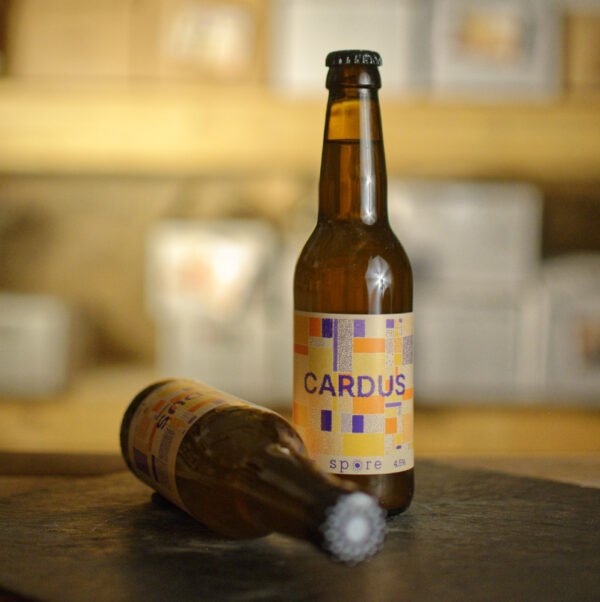 Bière Paisir d'Hiver 33cl