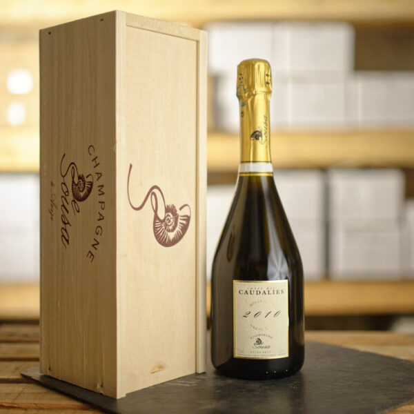 Champagne De Sousa Cuvée des Caudalies 2010