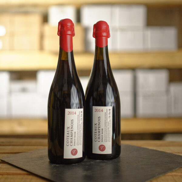 Coteaux Champenois Fleury