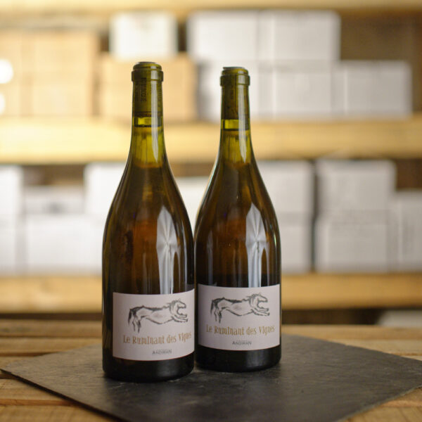 Ruminant des Vignes