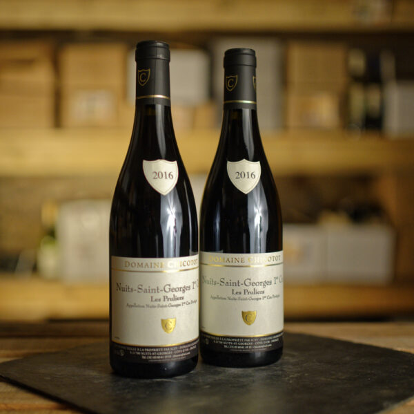 Nuits st Georges 1er cru Les Pruliers