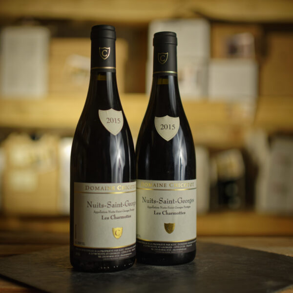 Nuits st Georges Les Charmottes