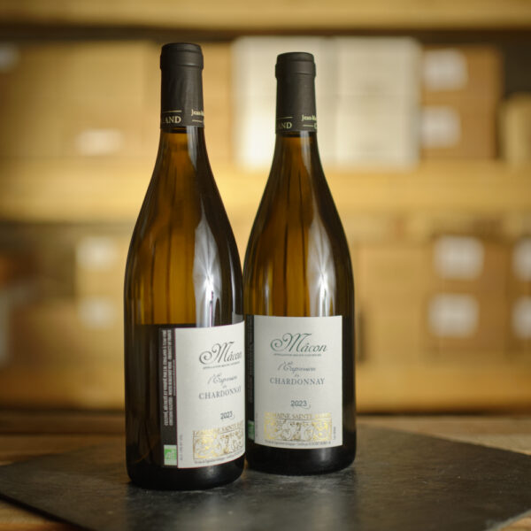 Mâcon L'expression du Chardonnay